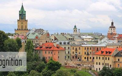 Understanding Social Cognition. 3rd Avant Conference Lublin 2017